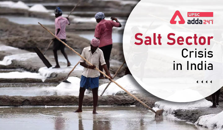 Salt Sector Crisis in India