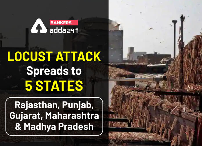 Locust Attack Spreads to 5 States - Blog