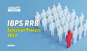 IBPS RRB Selection Process 2024, Complete Process for PO & Clerk