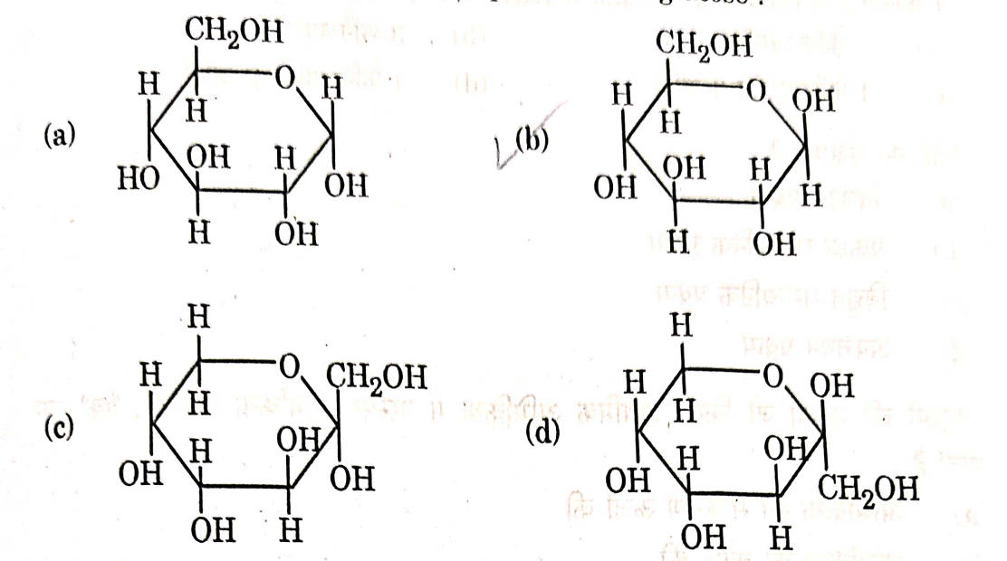 Class 12 Chemistry Answer Key 2023, Question Paper Analysis for All Sets_50.1