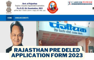 Rajasthan Pre Deled Application Form 2023