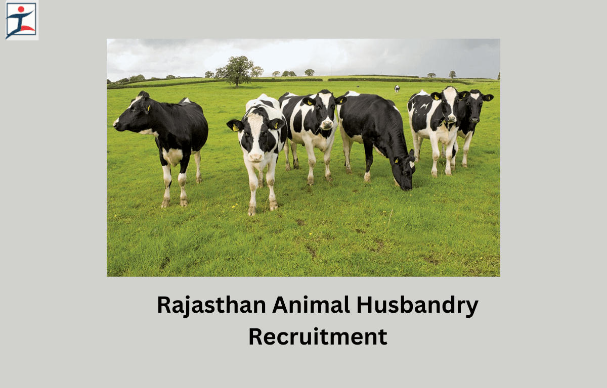 Rajasthan Animal Husbandry Recruitment 2024 Apply Online for 3090 Vacancies_20.1