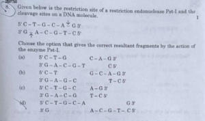 Class 12 Biology Answer Key 2023, Question Paper Solution_3.1