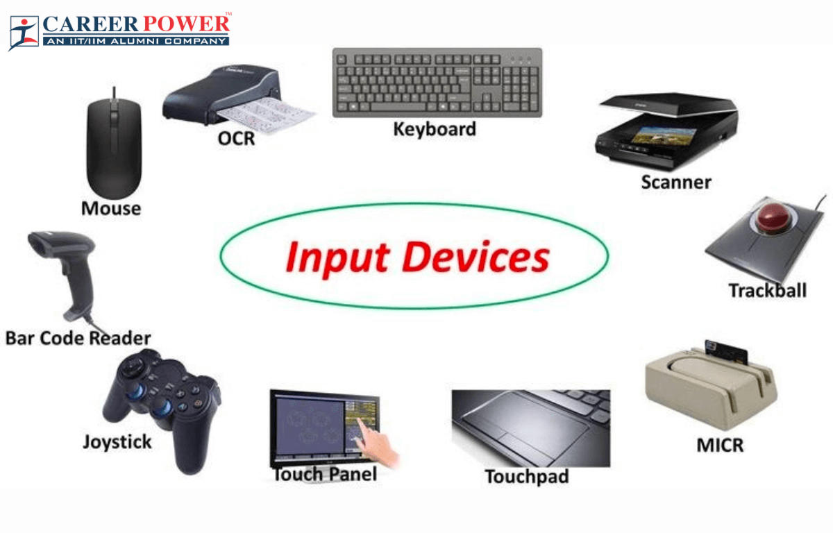 What Are The Input Devices Of Computer System 10 Exam - vrogue.co