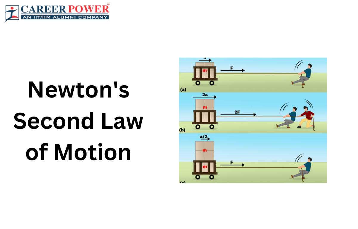 Types of Motion: Definition & Examples I