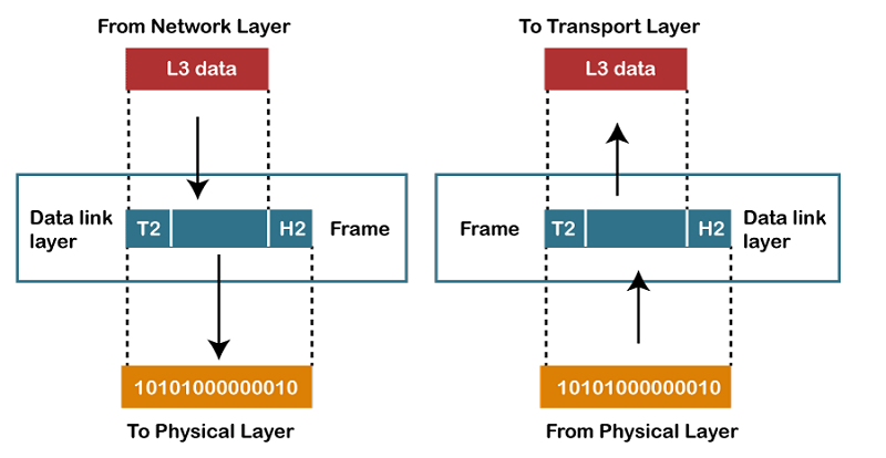 OSI Model in Computer Network_50.1