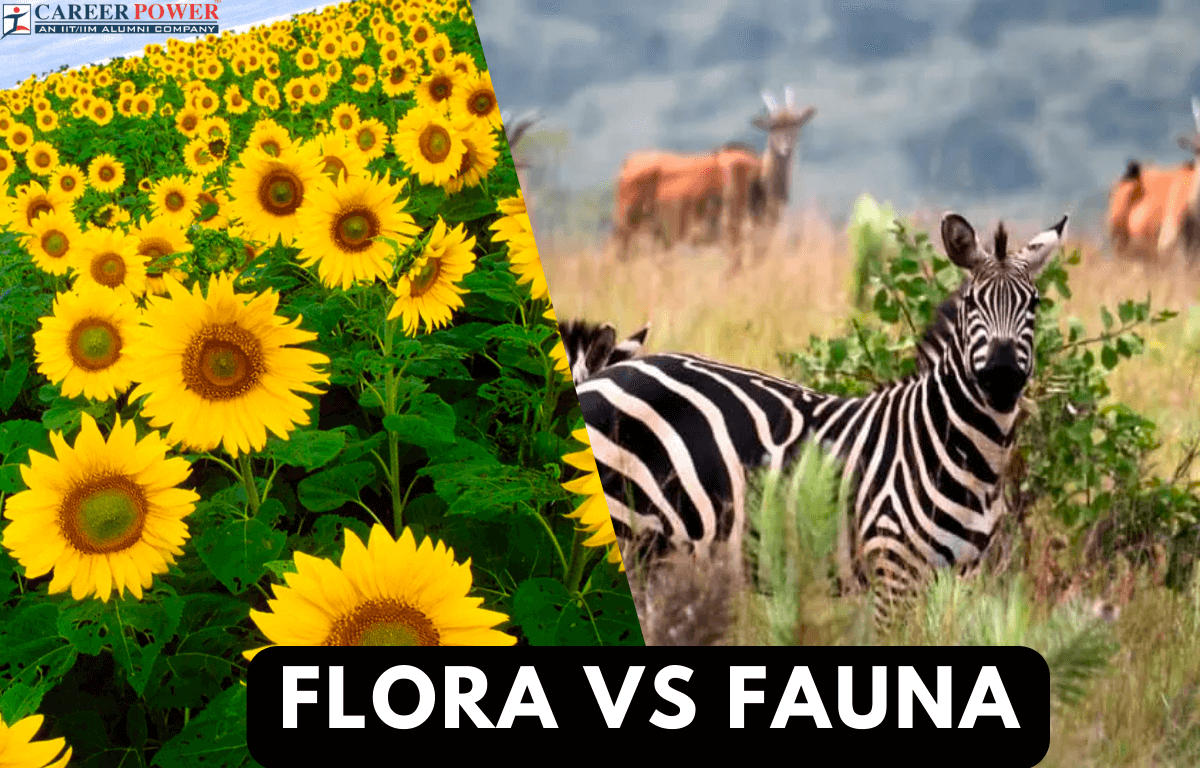 flora vs fauna