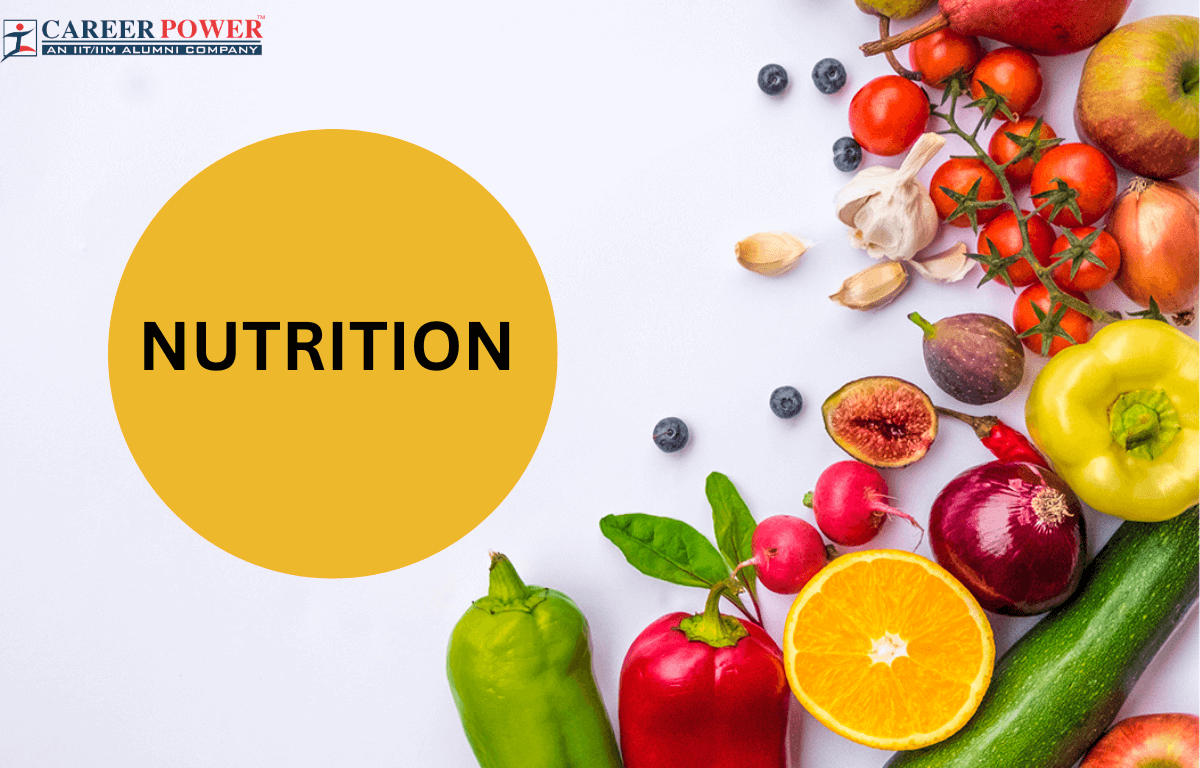 Food, Definition & Nutrition