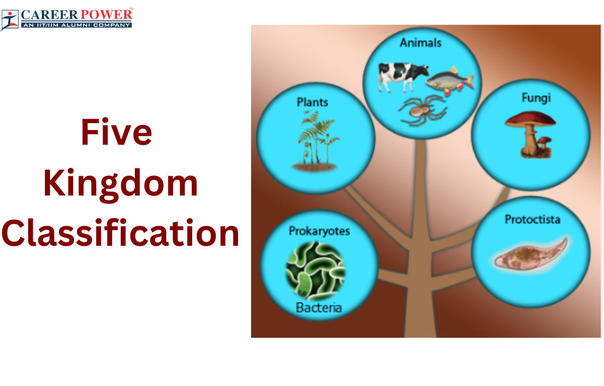 Five Kingdom Classification, Characteristics and Advantages_20.1