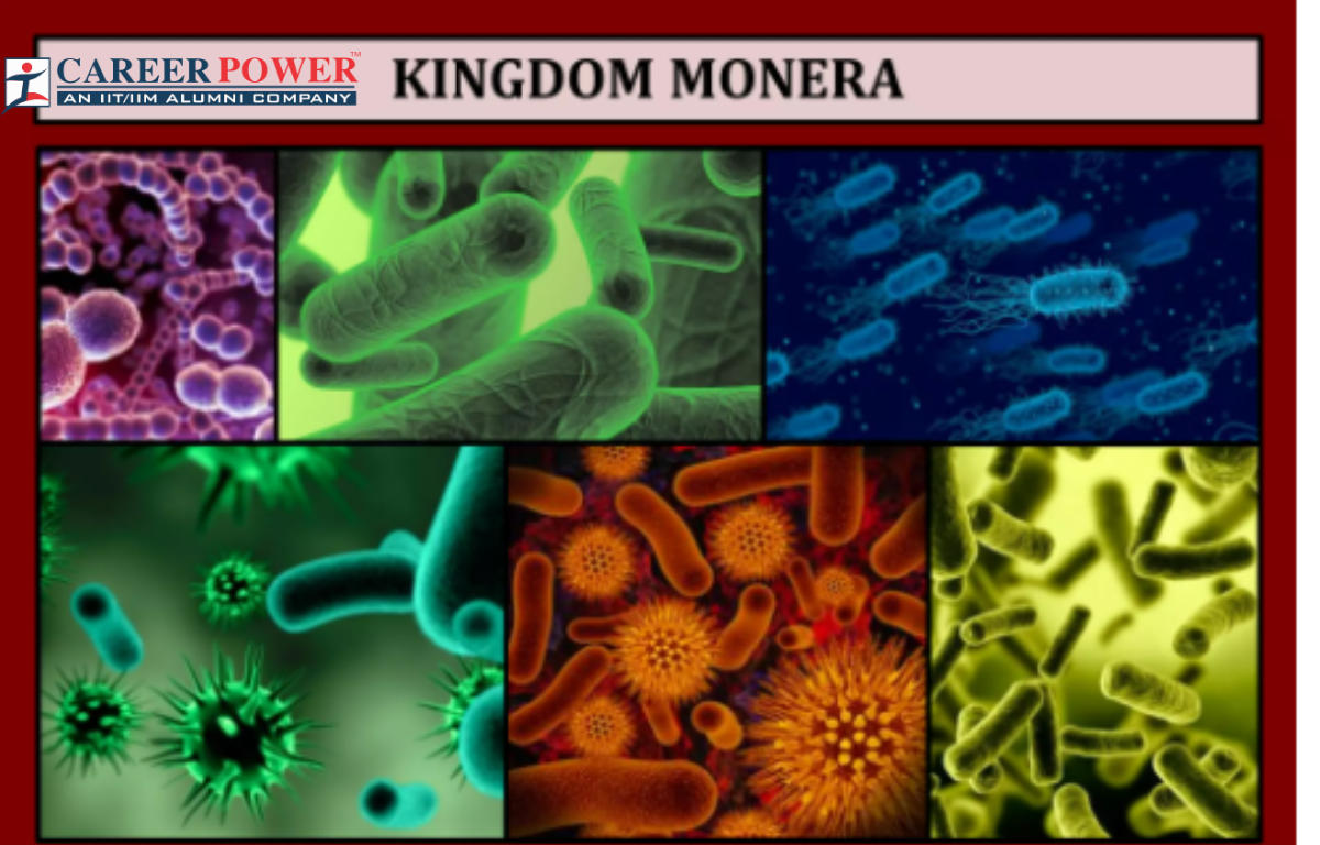 Kingdom Monera General Characteristics Monera Biological 53 OFF