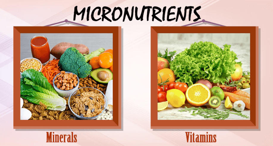 Vitamins and Minerals Deficiency Diseases_30.1