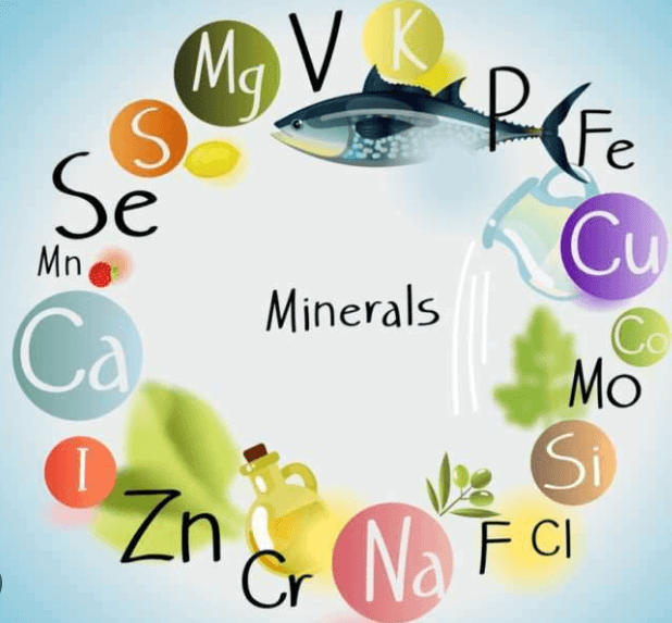 Vitamins and Minerals Deficiency Diseases_6.1