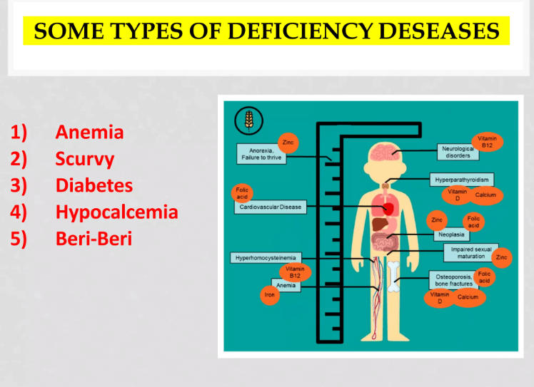 Vitamins and Minerals Deficiency Diseases_7.1