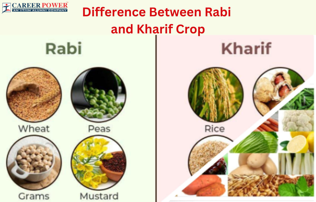 Difference Between Rabi and Kharif Crops_20.1