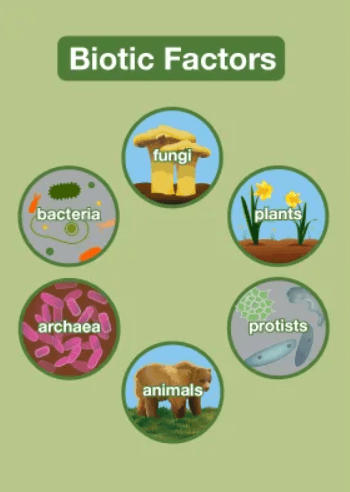 Difference Between Abiotic and Biotic_4.1