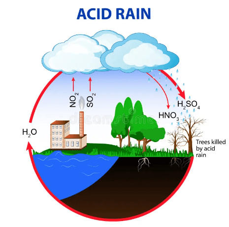 Acid Rain: Definition, Effects, and Examples_3.1