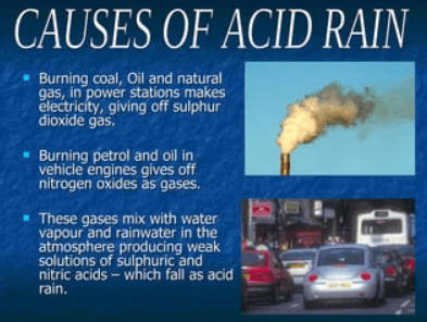 Acid Rain: Definition, Effects, and Examples_70.1