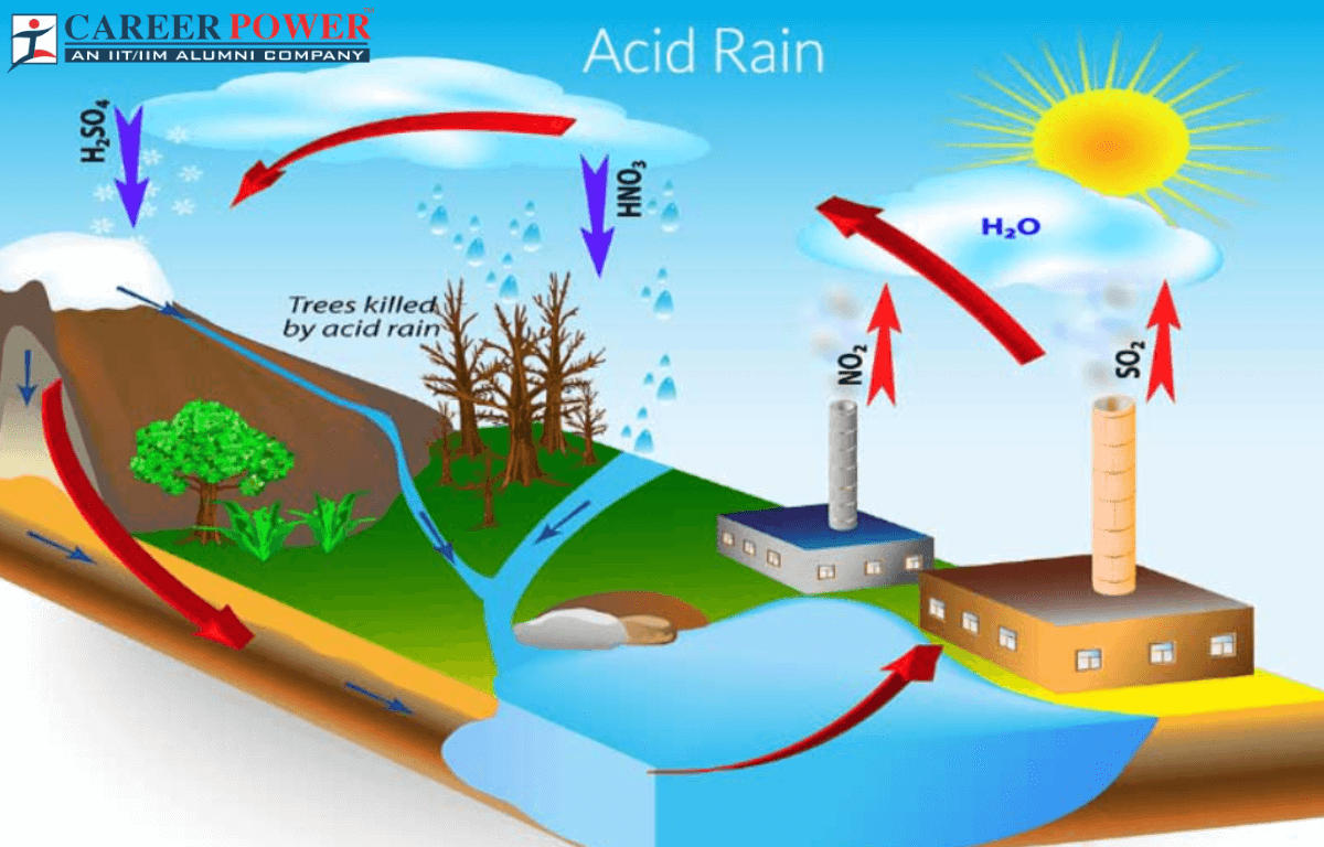 Acid Rain: Definition, Effects, and Examples