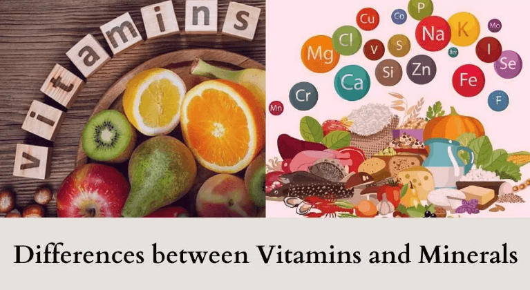 Difference between Vitamins and Minerals_5.1
