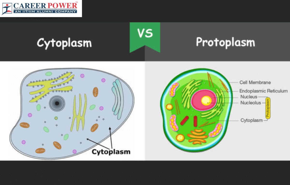 Difference Between Cytoplasm and Protoplasm_20.1
