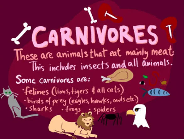 Carnivores Animals: Name, List and Examples