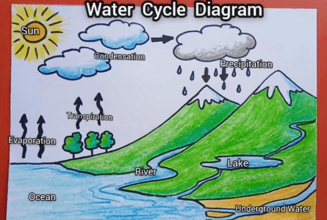 Water Cycle Diagram, Process and Model_30.1