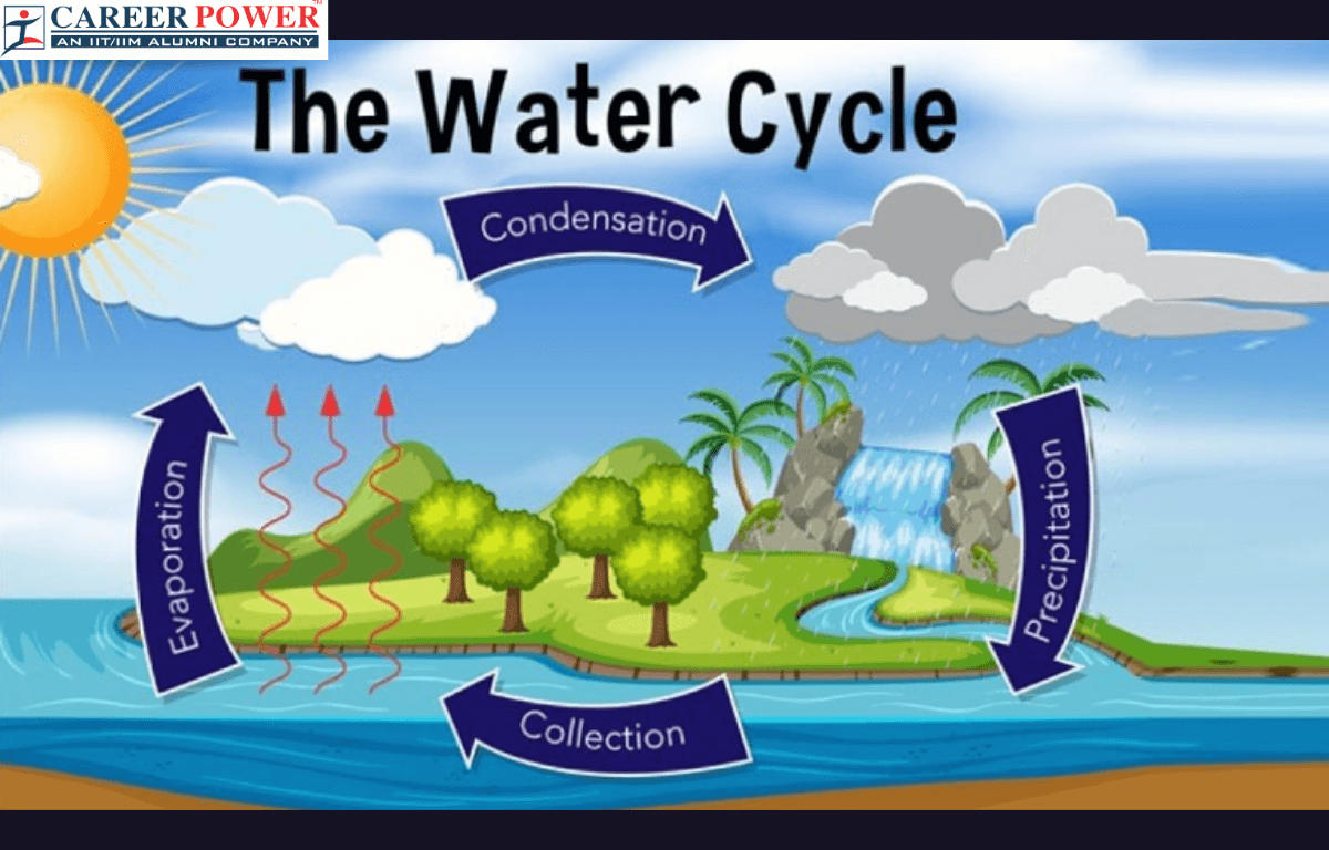 Water Cycle Diagram, Process and Model_20.1