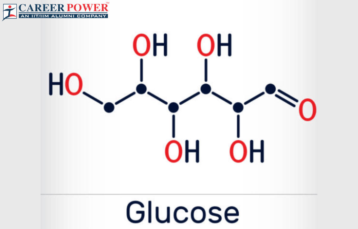 Haworth Structure Glucose Molecule Stock Illustration 2349649327 |  Shutterstock