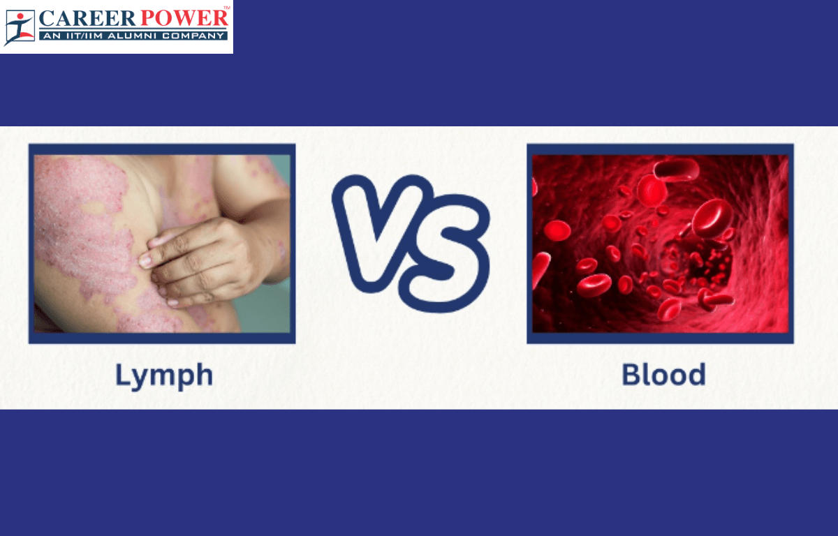 Difference Between Blood and Lymph_20.1