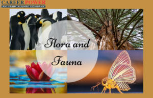 flora and fauna