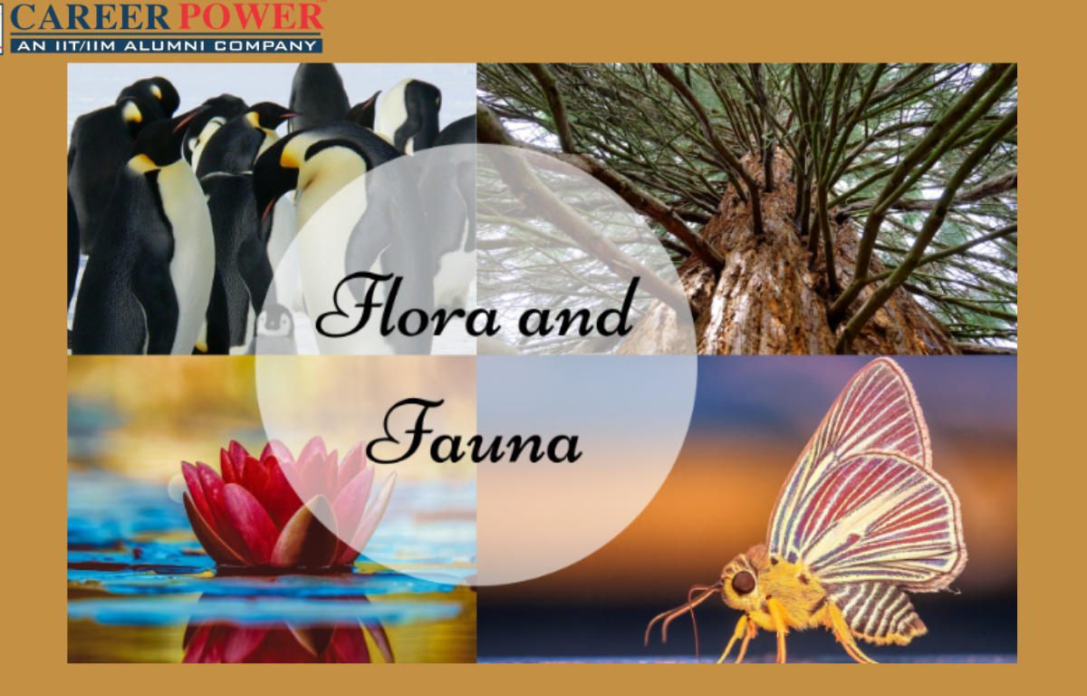 Flora and Fauna- Meaning, Difference and Importance_20.1