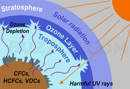 Ozone Layer and its Depletion Causes_4.1
