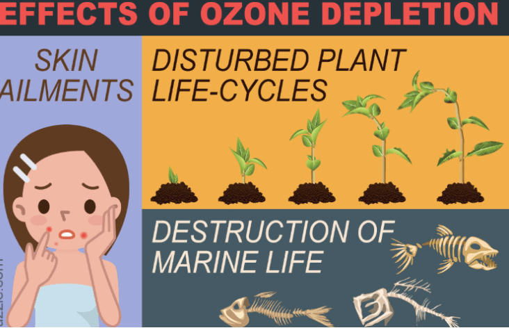 Ozone Layer and its Depletion Causes_5.1