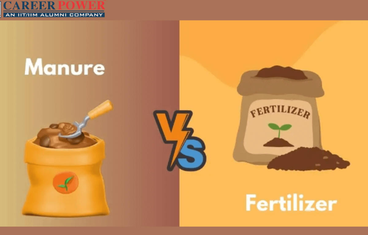 difference between manure and fertilizers