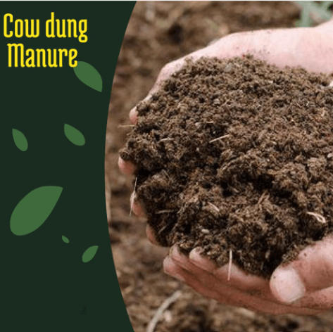 Difference Between Manure and Fertilizers_3.1
