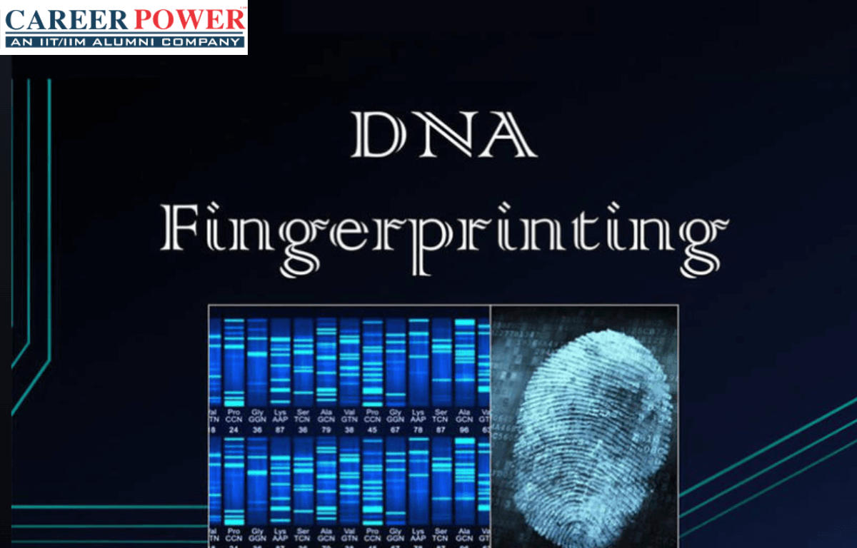 research paper dna fingerprinting
