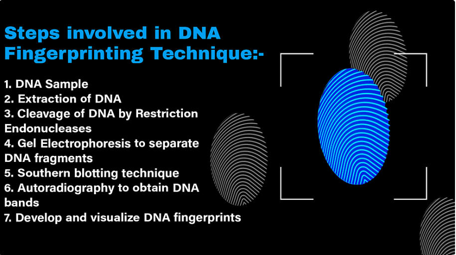 DNA Fingerprinting: Steps and Applications_4.1