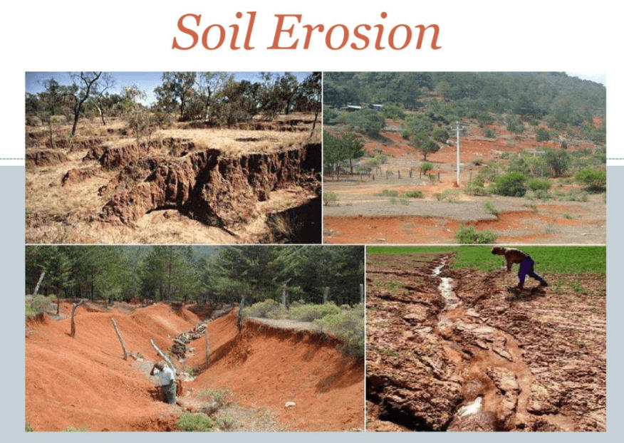 Soil Erosion Control Techniques