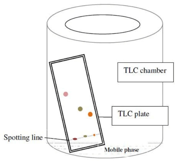 Thin Layer Chromatography_4.1