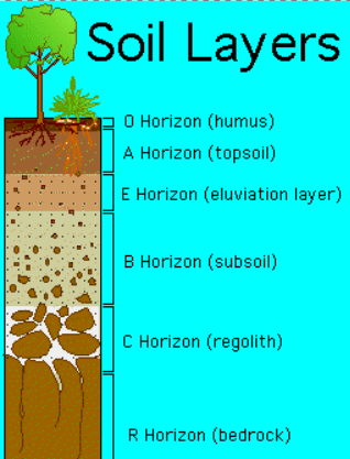 Different Soil Layers