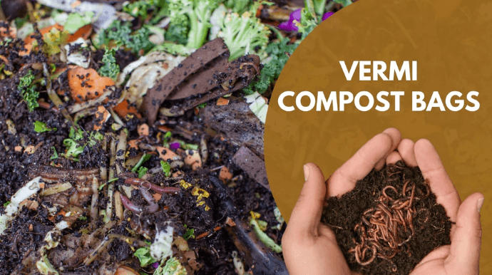 Compost and Vermicompost - Differences and Similarities_40.1