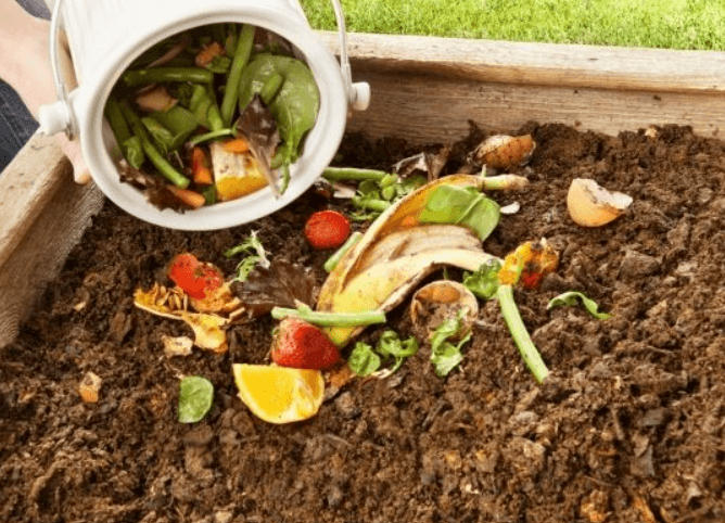 Compost and Vermicompost - Differences and Similarities_30.1