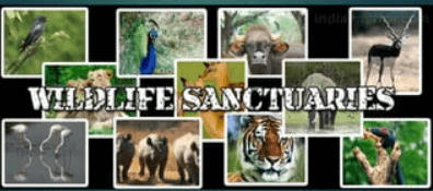 Difference Between National Park and Wildlife Sanctuary_40.1