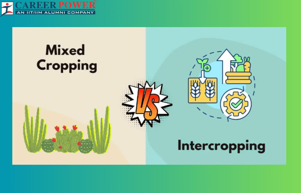 Mixed Cropping and Intercropping - Difference with Examples_20.1