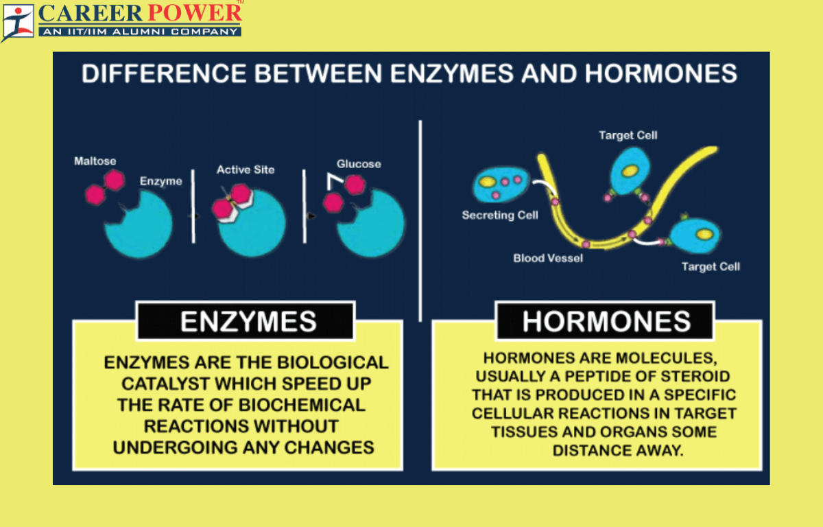 What are the differences between Enzymes and Hormones_20.1