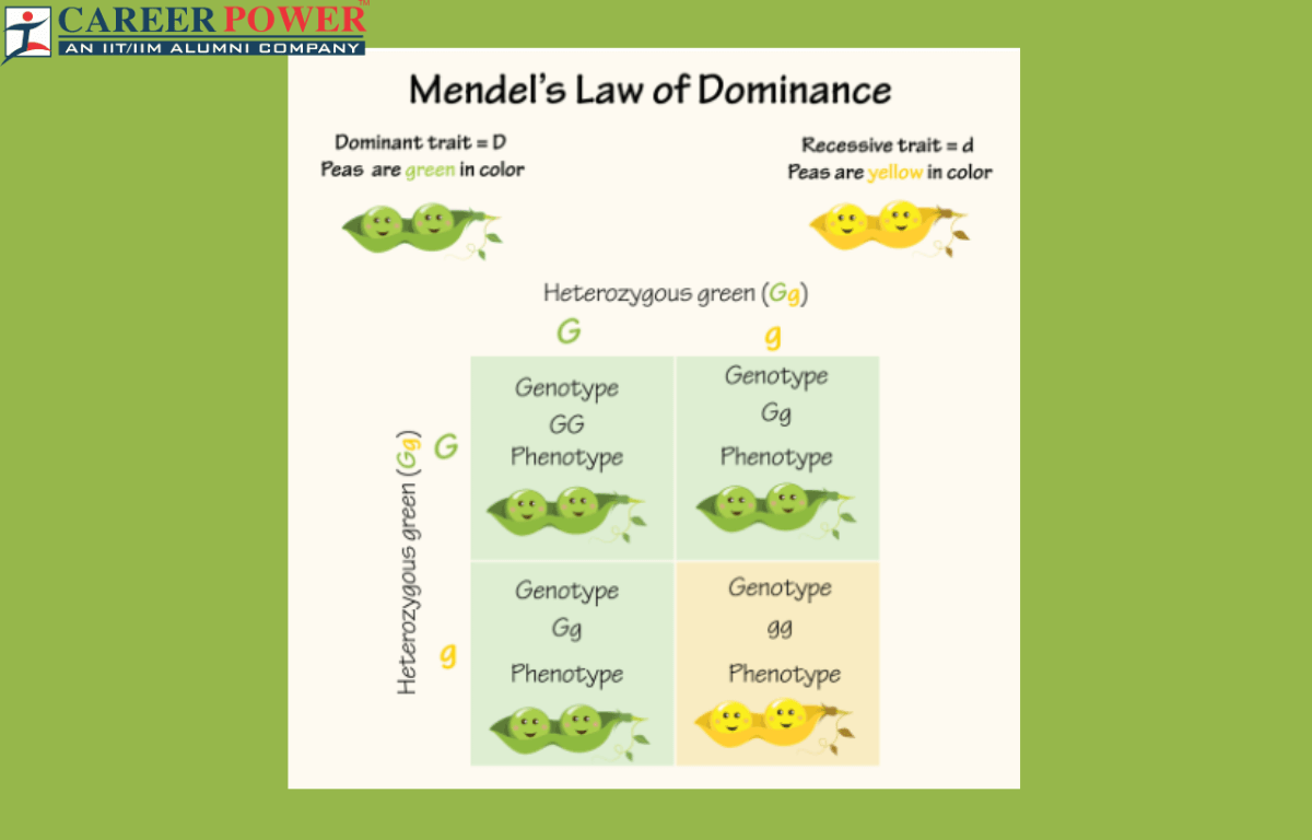 law of dominance