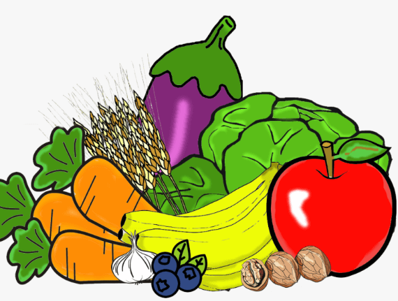 50 Vegetables Name for Kids in English and Hindi_30.1