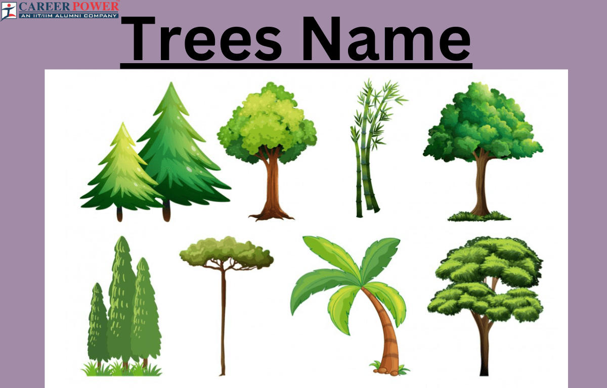 Trees Names, List of 50+ Tree Names in English_20.1