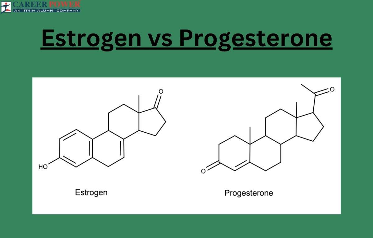 Estrogen vs Progesterone