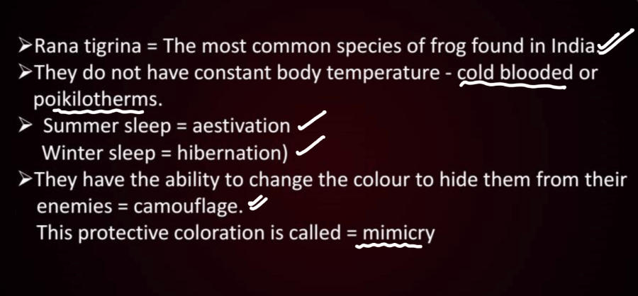 Frogs - Anatomy, Morphology, and Features (Complete Guide)_8.1